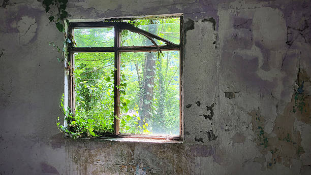 istock Old and abandoned stone village house in forest 2220783835