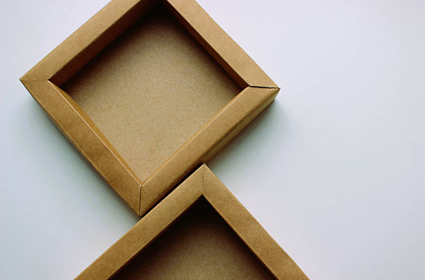 View from inside the cardboard box