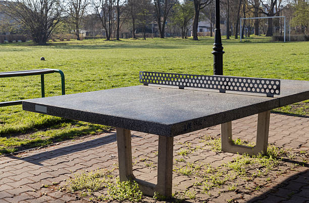 istock concrete ping pong table with perforated metal net on brick pavement, surrounded by green grass and trees in public park with goalpost in background. concept of recreational sport, park design 2220789607