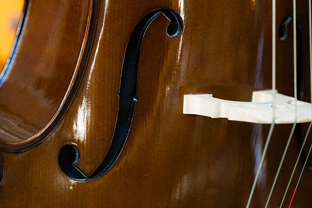 Elegant Wooden Cello, Classical String Instrument, Detail Shot