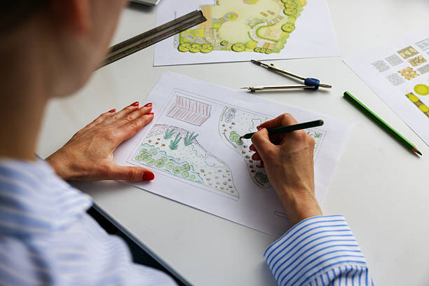 landscape architect, designer drawing ornamental garden plan in office