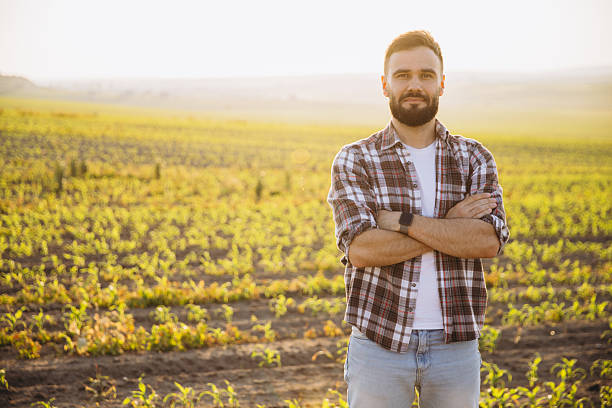 istock Bearded agronomist standing with crossed arms in corn field at sunset 2220793062