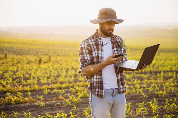 istock Agronomist using laptop and smartphone in corn field at sunset 2220793835