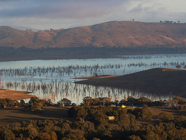 istock Looking down on trees in lake in morning light 2220794110