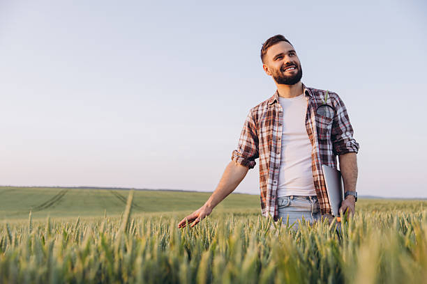 istock Agronomist walking and inspecting wheat field with laptop 2220795076