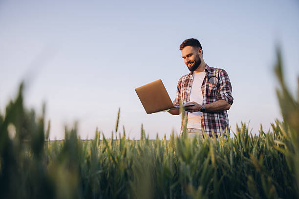 istock Agronomist using laptop in wheat field analyzing plantation with technology 2220795078