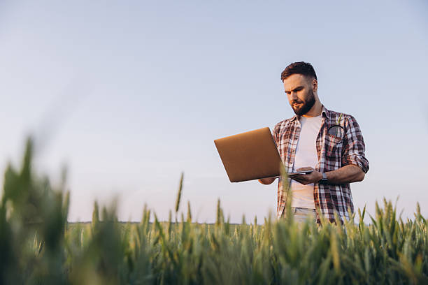 istock Agronomist using laptop analyzing wheat plants in cultivated field 2220795095
