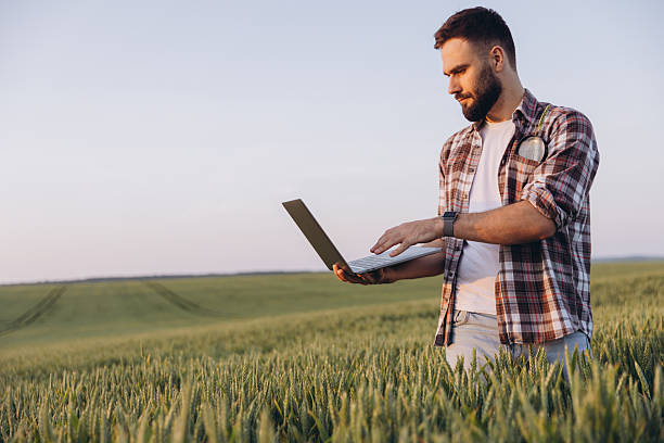 istock Agronomist using laptop standing in wheat field at sunset 2220795096