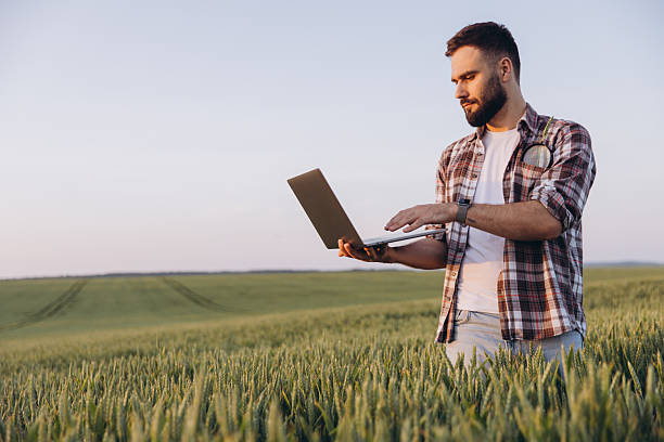 istock Agronomist using laptop analyzing wheat stalks in cultivated field 2220795099