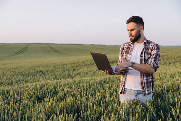 istock Agronomist using laptop in wheat field for smart farming 2220795128