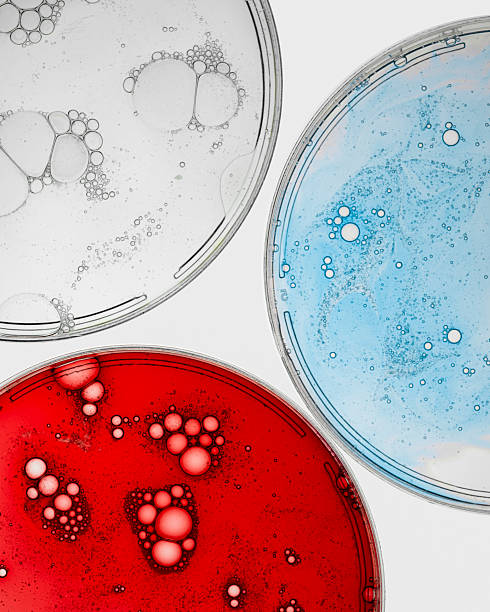 istock Petri dishes with multi-colored cosmetics on white background, top view 2220798865