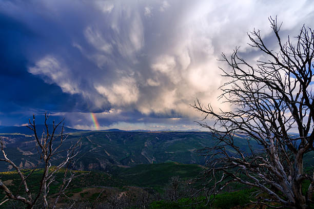 Elk Mountains Sunset Landscape Scenic - View of Elk Mountain Range in the Roaring Fork Valley of Colorado seen through dead snag trees from the Grizzly Creek Fire remains. Summer view with dramatic sky, rainbow and stormy weather fading to colorful sunset.