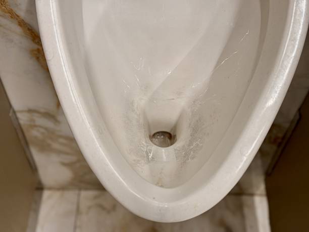 istock The Evolution of Modern Urinal Designs in Contemporary Public Restroom Spaces Over Time. A sleek and clean urinal that serves as an attractive feature in a modern public bathroom environment. 2220802073