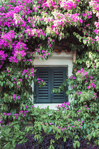 istock Old stone house window with green shutters and flowers 2220808666