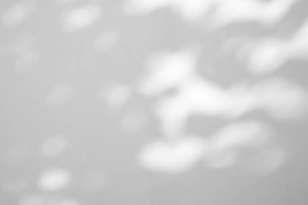 istock Abstract natural tree leaves shadow on white wall background 2220812218