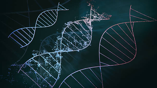 istock 3D Holographic Visualization of Multiple DNA Helices with Dynamic Particles on Futuristic Dark Background 2220813300