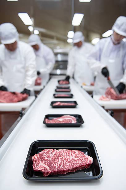 Meat factory workers in white coats and gloves preparing meat for processing.