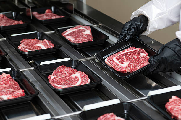 istock Steaks on a conveyor belt being packaged in a food processing plant 2220817772
