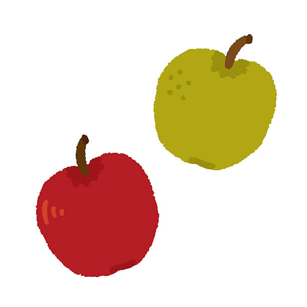 Hand-Drawn Apple and Pear  Simple Illustration