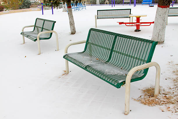 close-up of park bench around tree trunk constructed with grid of stainless stell
