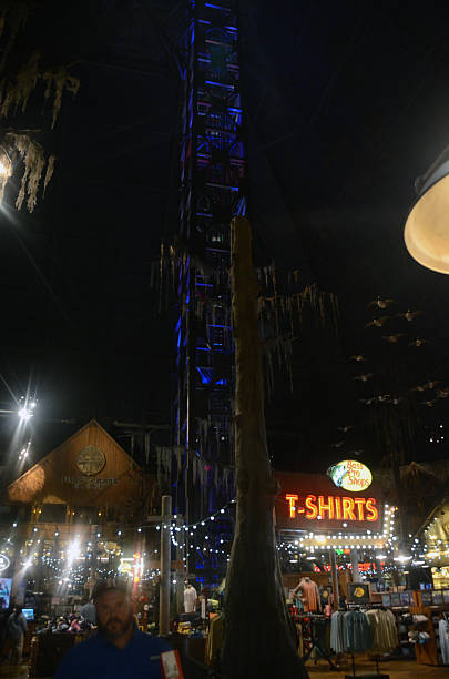 Best of Newyork city