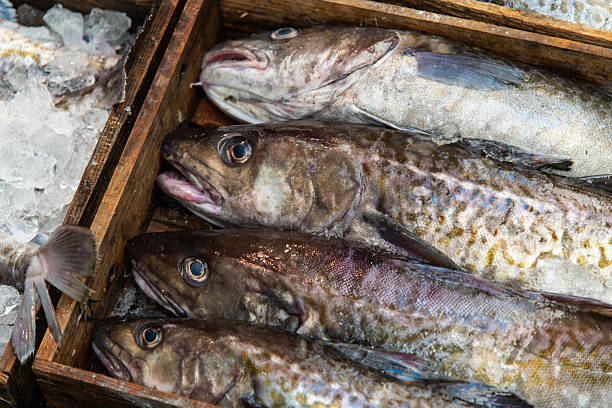 food ingredient