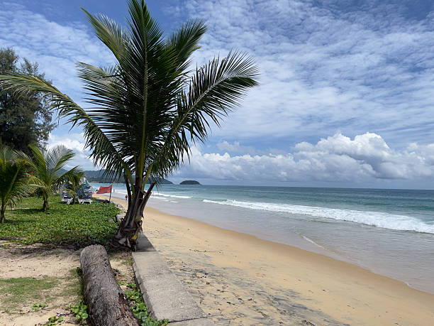 istock Coconut tree on the beach with blue sky and white clouds 2220837525