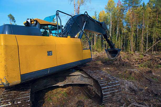 A large excavator works in the forest. Drainage of forest areas. Meliorative works. Forestry.