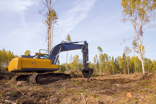The excavator works in the forest. Construction work in the forest area.