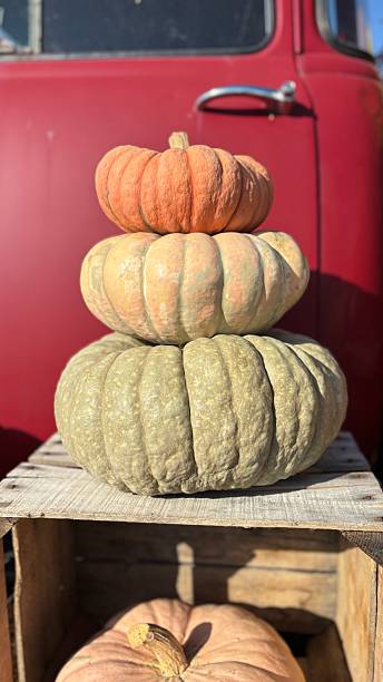 istock Autum Pumpkin & Flower Display 2220846707