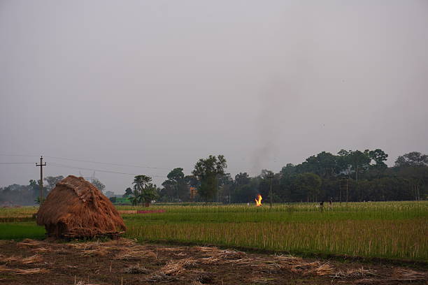 The fire is burning in the middle of the field, a haystack on the foreground