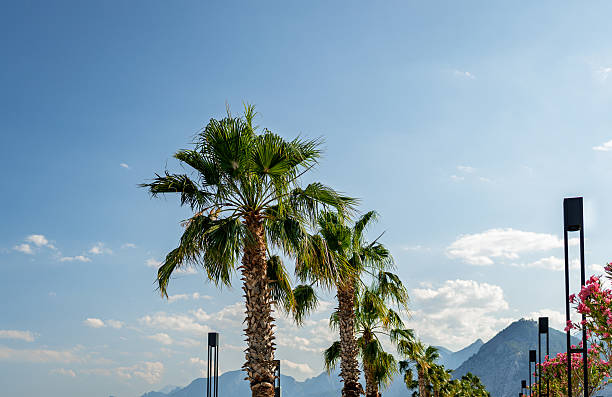 Mountain Landscape Covered with Dense Cloudy Sky