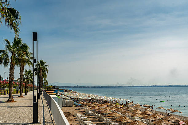 Outdoor seaside café or lounge with shaded wooden pergola, white chairs, and decorative elements facing the turquoise water. Palm trees and boats are visible in the background. Concept of summer vacation, coastal lifestyle, and relaxation by the sea.