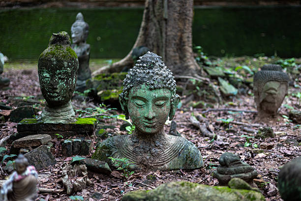 istock Ancient Buddha heads at Wat Umong. 2220852259