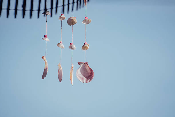 A gentle seashell wind chime made with natural shell pieces strung on clear threads. Its simple, handcrafted form sways gracefully in the light, perfect for relaxing and coastal-themed visuals.