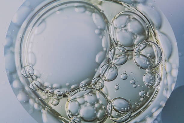 A macro image of oil and water bubbles over a sponge-like surface with soft gradients. The abstract composition evokes themes of skincare, moisture, and organic texture. Perfect for design or beauty content.