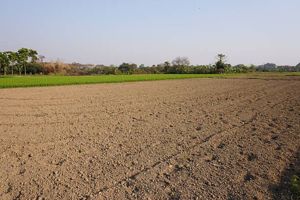 istock The field is being prepared before plantation 2220852972