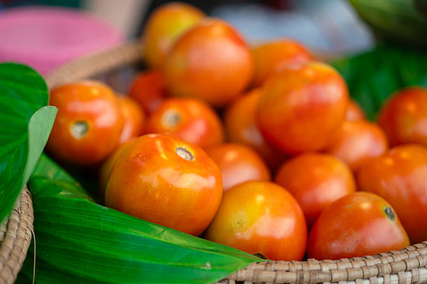 Fresh ripe tomatoes in basket in Nakhon Ratchasima, Nakhon Ratchasima, Thailand