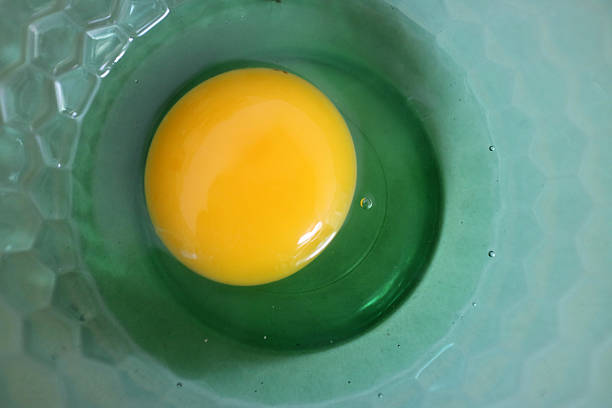 A raw egg with bright yellow yolk sitting inside a green bowl