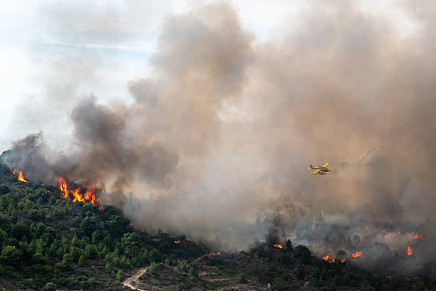 istock Forest fire with large flames and a plane fighting fires 2220859693