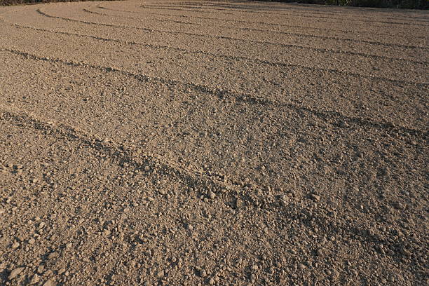 Prepared field for cultivation, several furrows are there on the field for better irrigation