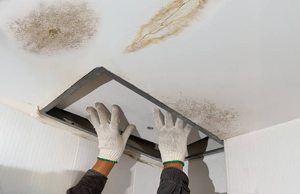 istock Worker fix leaking pipe in ceiling ,close-up of a stain on the ceiling. 2220865050