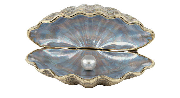 Isolated Pearl in Iridescent Oyster Shell Oceanic Treasure