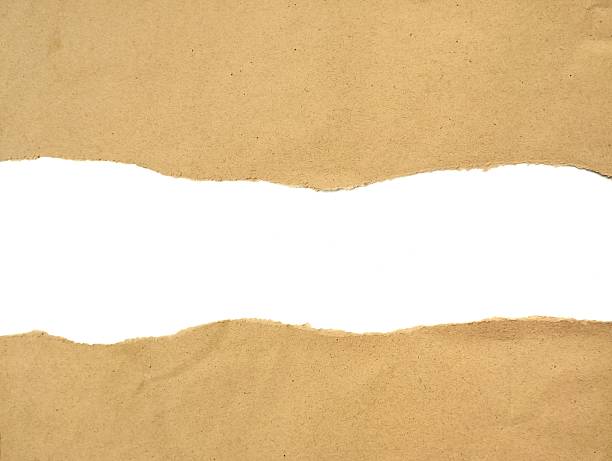 istock Brown ripped paper torn edges strips isolated on white background 2220873898