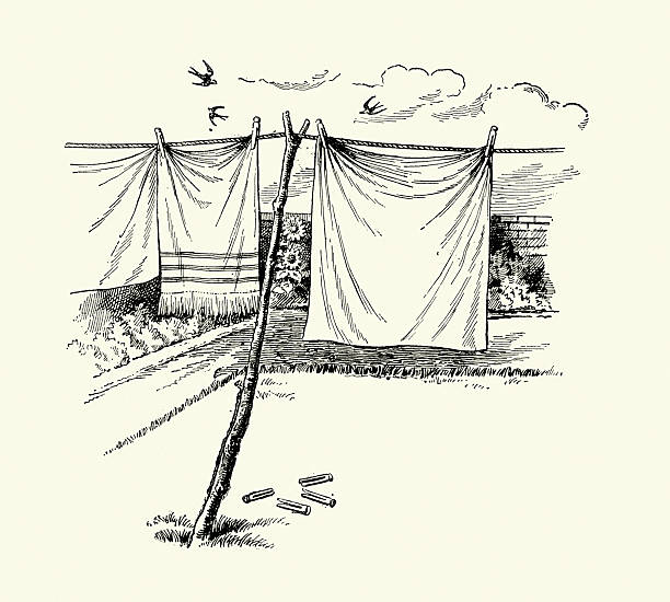 Laundry clean sheets and towels hanging on washing line in the garden, Victorian, Vintage illustration, 19th Century