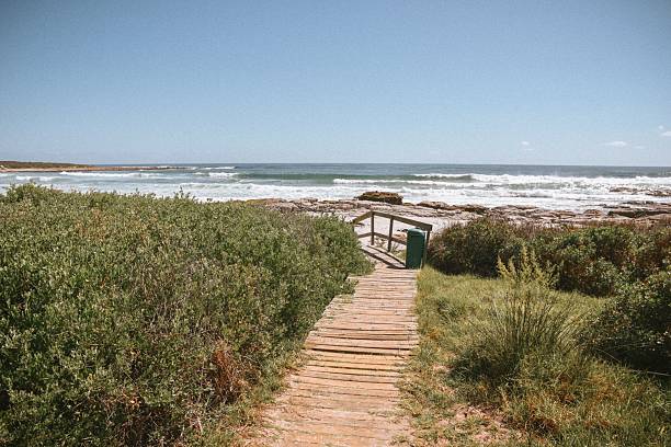 A scenic coastal boardwalk leading to a rocky beach under a clear blue sky, surrounded by lush green vegetation.