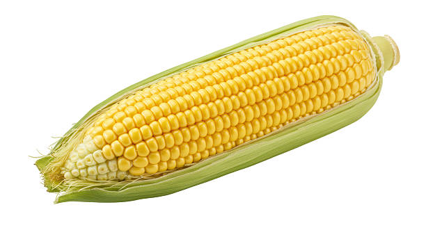 istock Isolated Corn on the Cob, Fresh Food 2220884435