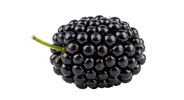 istock Isolated Heap of Fresh Ripe Blackberries 2220884626
