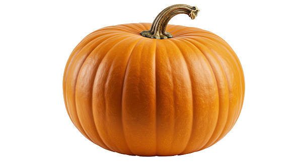 istock Isolated Whole Orange Pumpkin with Stem 2220887110