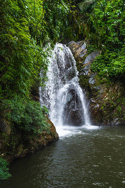 istock Green Scenic Tropical Waterfall In Vietnam 2220893303